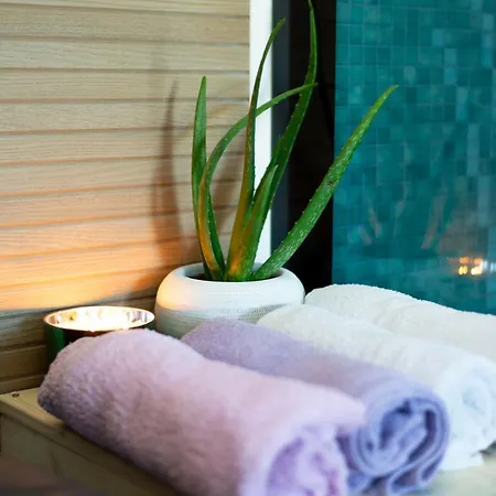 Villa Baroque Art With Pool Sauna Gym Pridraga