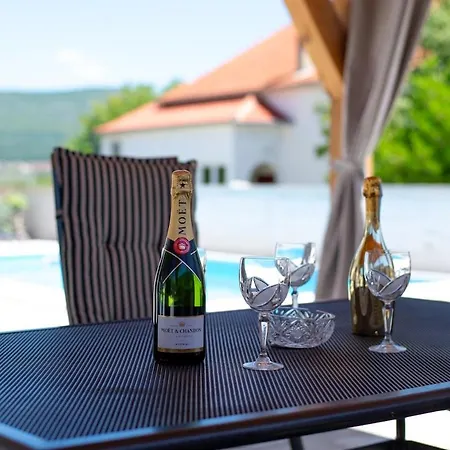 Villa Baroque Art With Pool Sauna Gym Pridraga