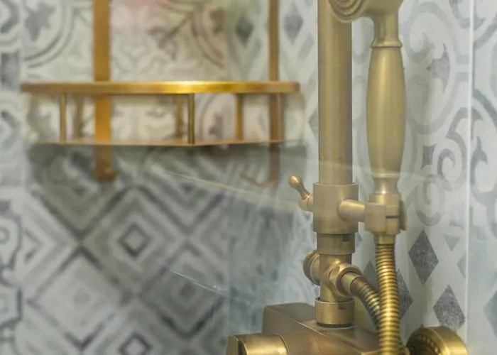 Baroque Art With Pool Sauna Gym