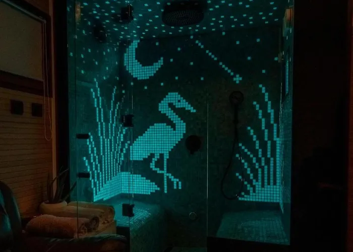 Baroque Art With Pool Sauna Gym Pridraga