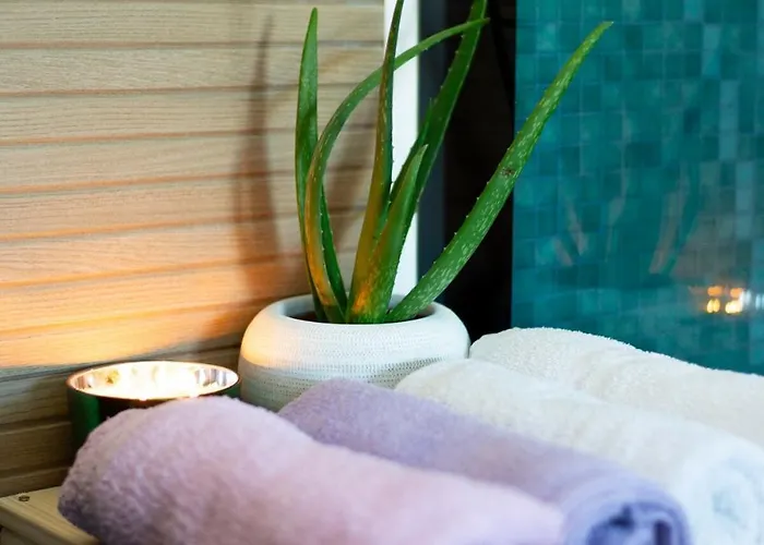 וילה Baroque Art With Pool Sauna Gym Pridraga